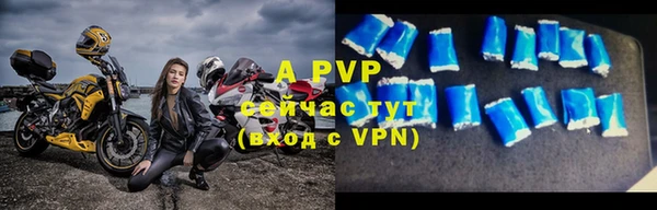 стафф Белокуриха