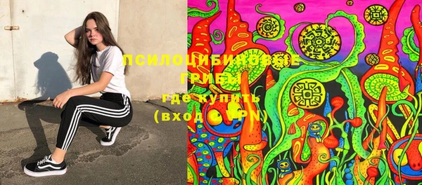 стафф Белокуриха