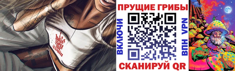 Псилоцибиновые грибы GOLDEN TEACHER  Ворсма 